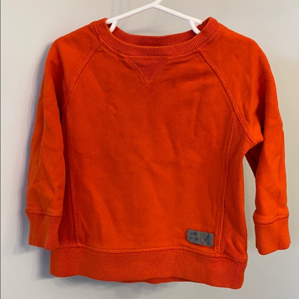 Toddler Gap Sweatshirt